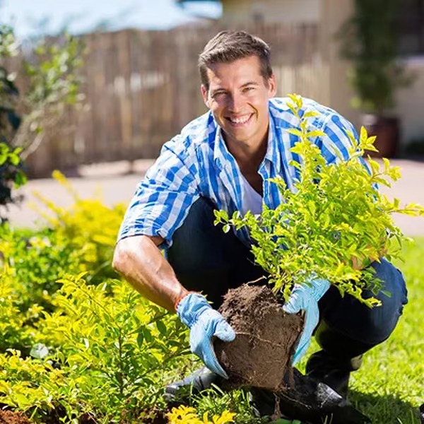 đ„â°Last Day Surprise Price: ïżĄ9.78!!! - Buy 1 Get 1 Freeđ„Soil Improvement Loosening Agentđ„