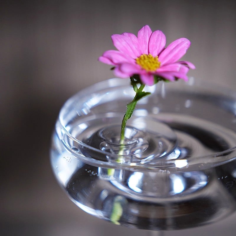 šFlash Saleā”š·2025 Creative Floating Floral Arrangement Holder