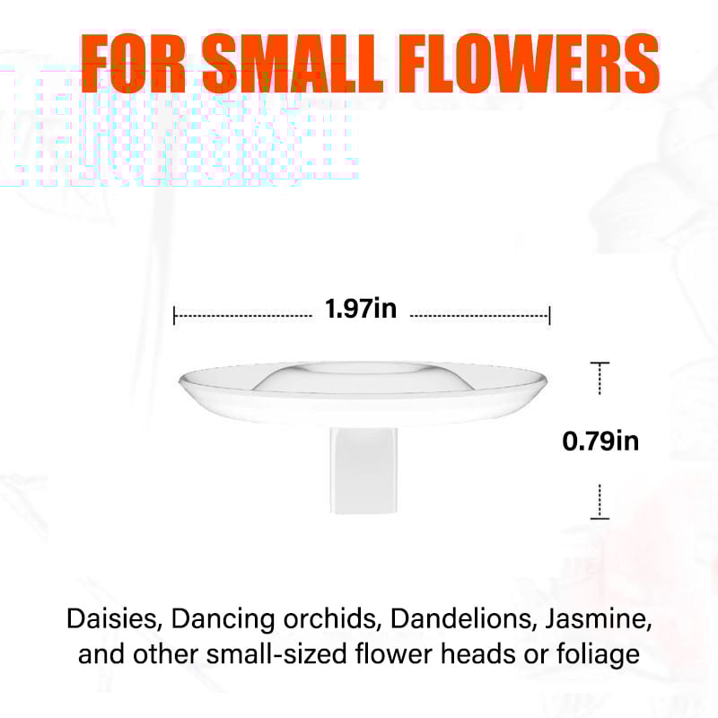 šFlash Saleā”š·2025 Creative Floating Floral Arrangement Holder