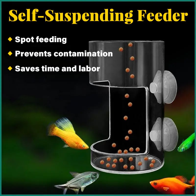 🐟✨Aquarium Feeding Ring and Tray