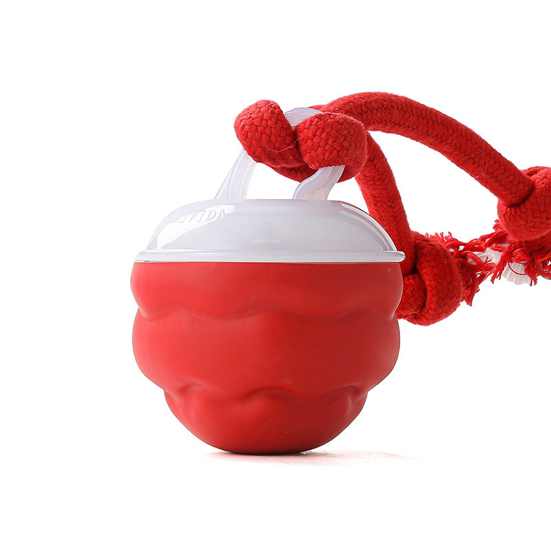 🎁Meet Christmas 50% OFF🎄Interactive Electronic Pet Soothing Toy Ball