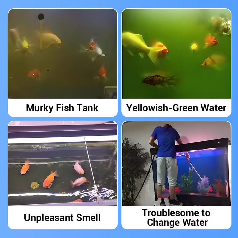 Buy 2 Get 1 Free⚡🐠Powerful Aquarium Water Purification Tablet🌿