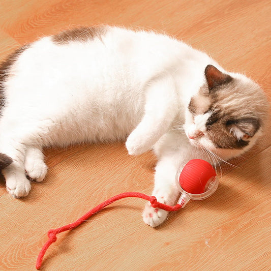 🐾 LIMITED-TIME 50% OFF! 💥 Smart Automatic Rolling Pet Ball – Obstacle Avoidance, Quick Charge, Interactive ✨