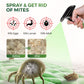 ✨Buy More Get More Free✨🔥Powerful Mite Remover Spray