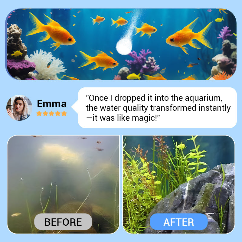 Buy 2 Get 1 Free⚡🐠Powerful Aquarium Water Purification Tablet🌿