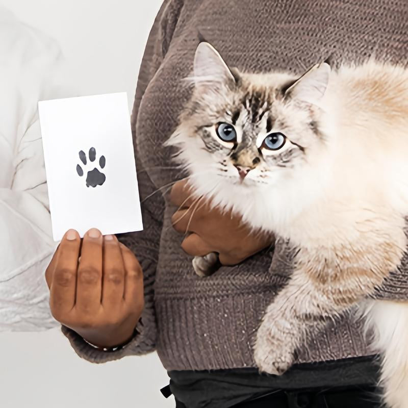 🎁 50% OFF🐶Pet Paw Printing Kit🐾🐾