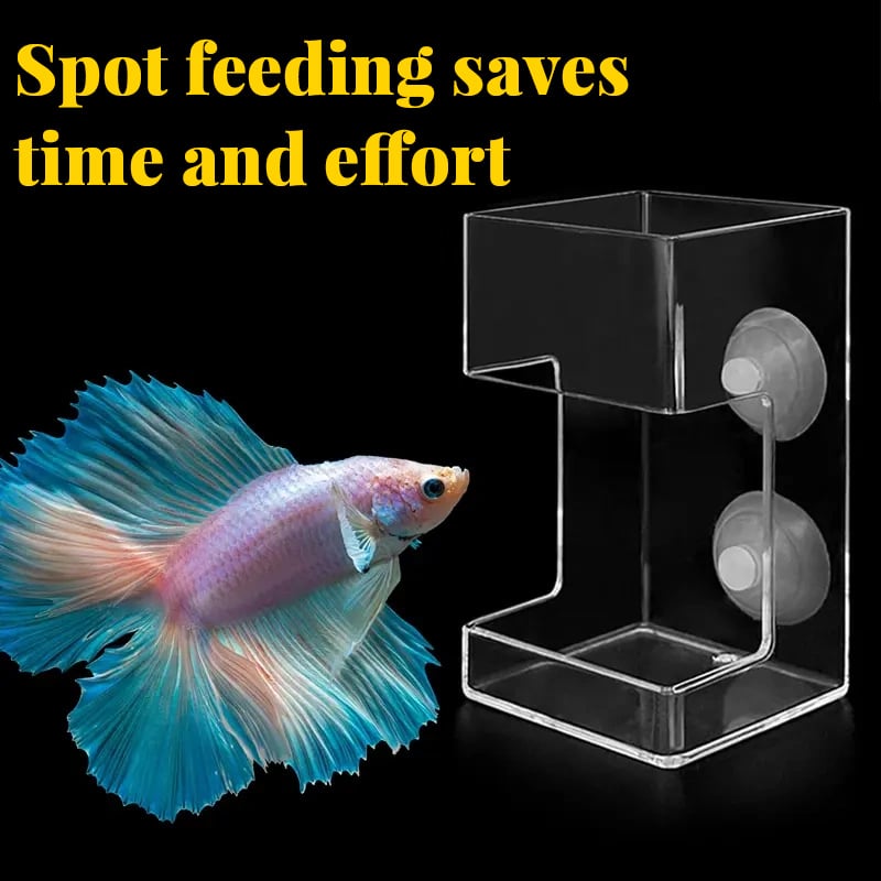 🐟✨Aquarium Feeding Ring and Tray