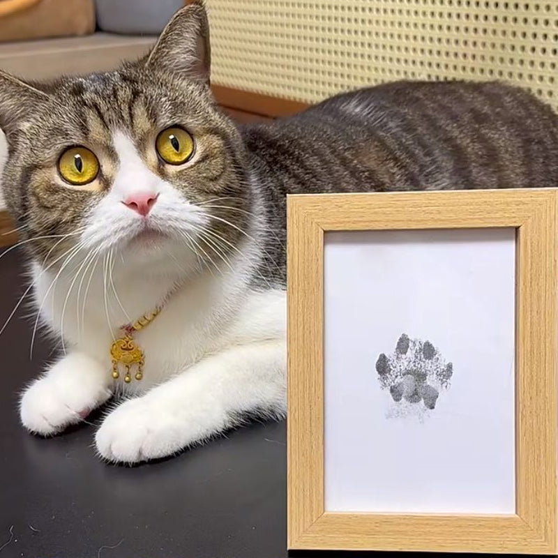 🎁 50% OFF🐶Pet Paw Printing Kit🐾🐾