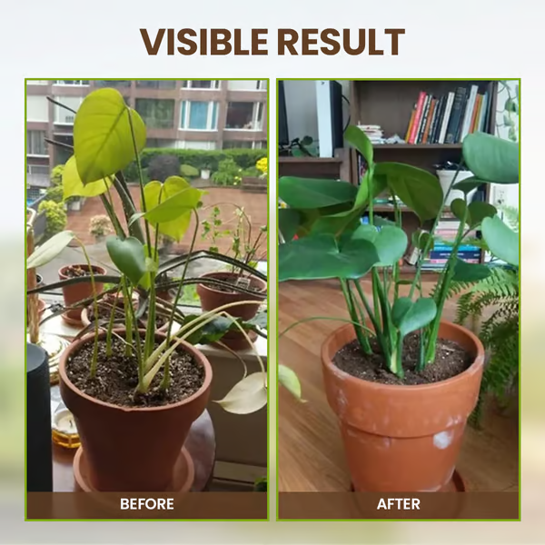 🔥⏰Last Day Surprise Price: ￡9.78!!! - Buy 1 Get 1 Free🔥Soil Improvement Loosening Agent🔥