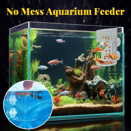 🐟✨Aquarium Feeding Ring and Tray
