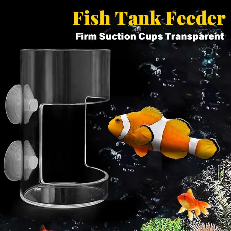 🐟✨Aquarium Feeding Ring and Tray