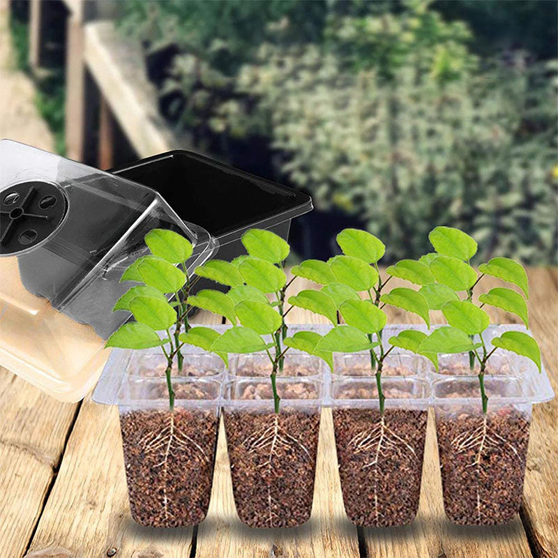 💎60% OFF! 💎 Germination Trays with Grow Light – Humidity Control, Transparent & Full-Spectrum Light 🌱💡