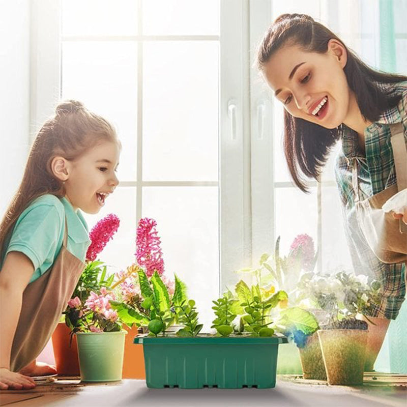 💎60% OFF! 💎 Germination Trays with Grow Light – Humidity Control, Transparent & Full-Spectrum Light 🌱💡