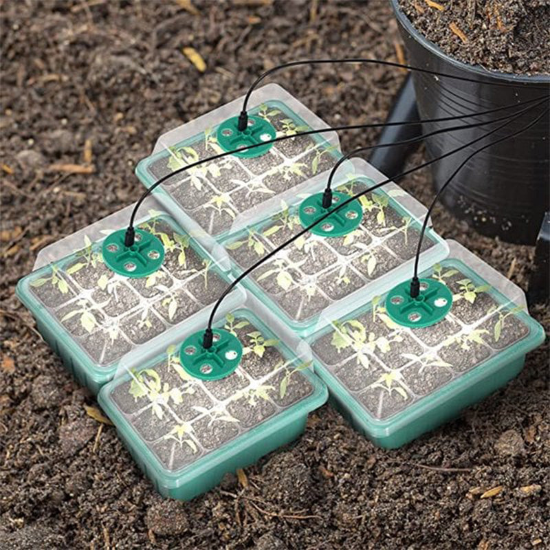 💎60% OFF! 💎 Germination Trays with Grow Light – Humidity Control, Transparent & Full-Spectrum Light 🌱💡