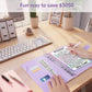 100-day Money-saving Envelope Challenge Binder