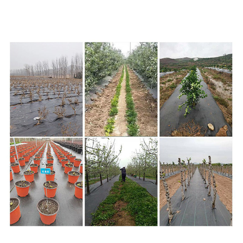 🧵 Weed Control Fabric – Blocks Sunlight, Breathable & Perfect for Garden Beds & Pathways 📉