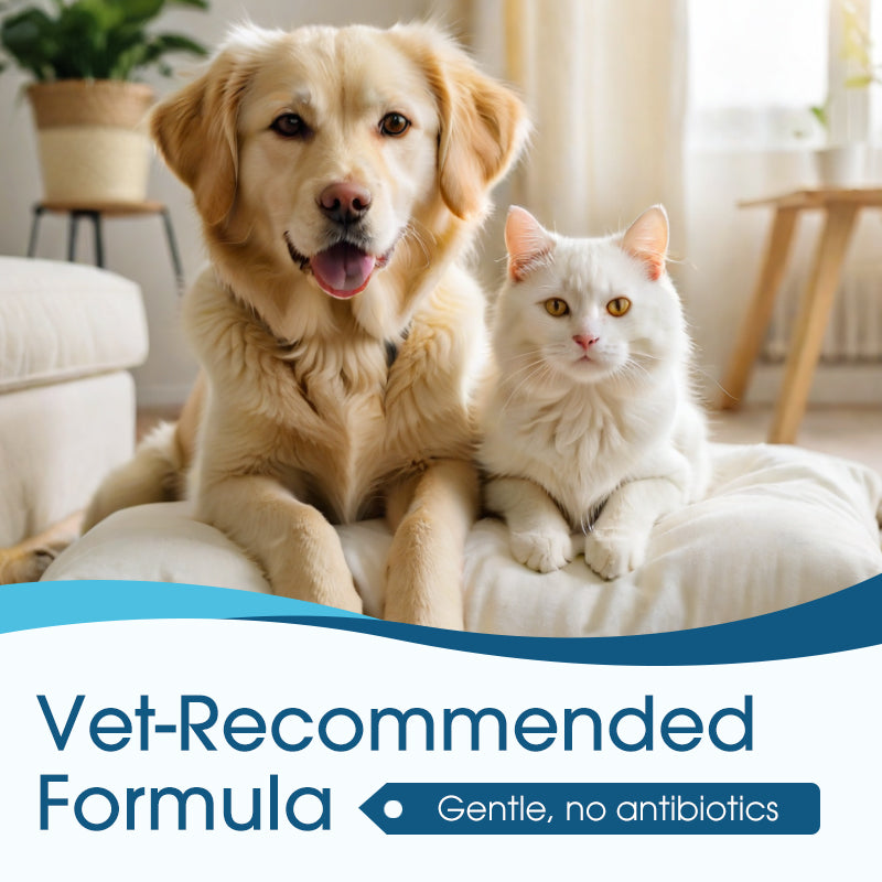 🐱🐶Ear cleaner, Relieves itching in cats & dogs