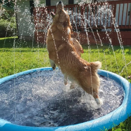 🏊SUMMER HOT SALE 50% OFF NOW! 🌊Foldable Dog Splash Pad🇬🇧 Big Sprinkler Mat for Garden & Beach 🌊☀️ | Non-Slip, Quick-Dry Play Pool for Dogs 🐾 | Folds Flat in Seconds! 🎒🐕