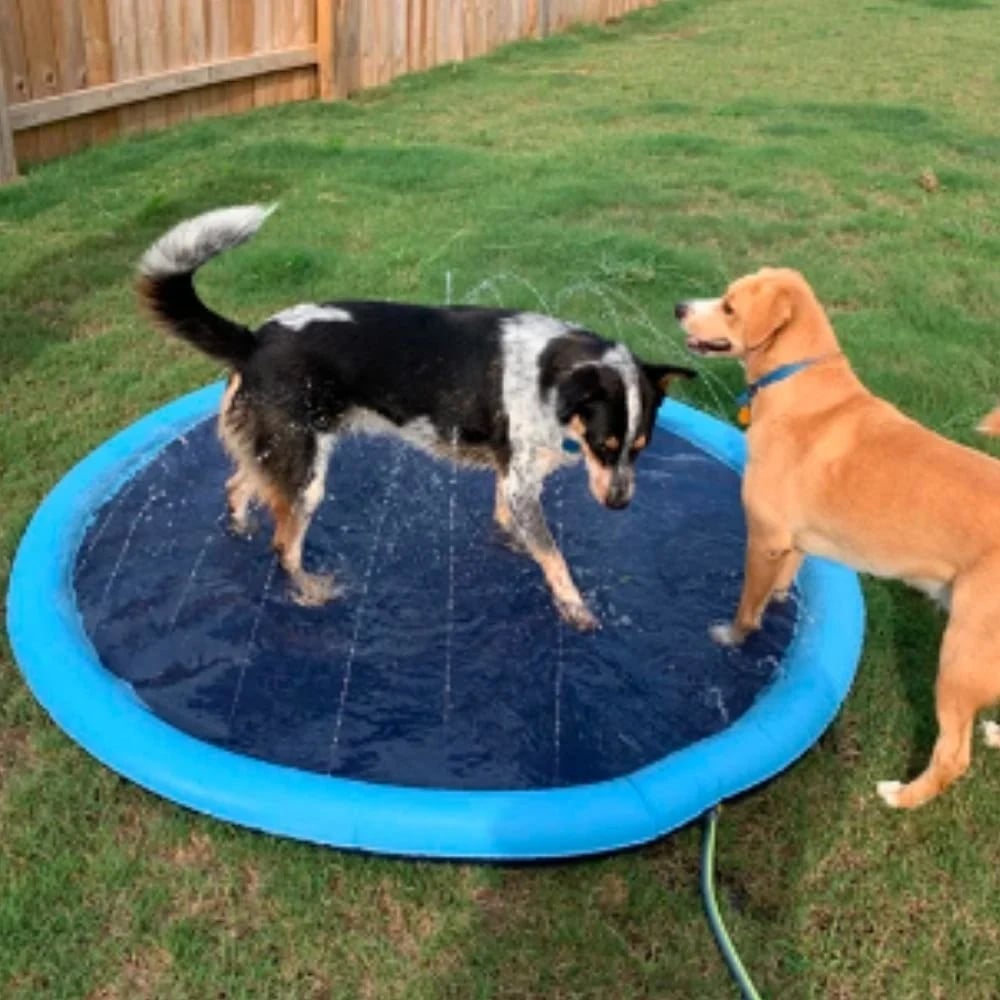 🏊SUMMER HOT SALE 50% OFF NOW! 🌊Foldable Dog Splash Pad🇬🇧 Big Sprinkler Mat for Garden & Beach 🌊☀️ | Non-Slip, Quick-Dry Play Pool for Dogs 🐾 | Folds Flat in Seconds! 🎒🐕