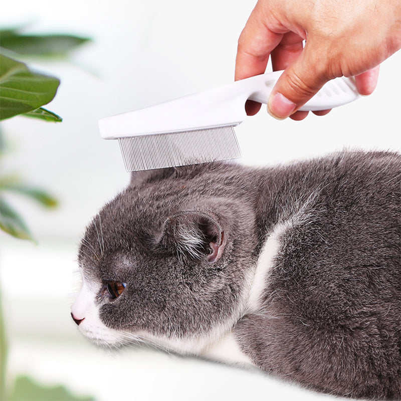 🐾 BUY 1 GET 1 FREE! 🛁 Multifunctional Pet Grooming Comb – Fine stainless steel needles – Removes tear stains, fleas & tangles – gentle on skin, effective for cats and dogs ✨🐶