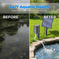 ☀️50% OFF !!  Solar Pond Aerator with Air Pump – Crystal Clear Water & Healthier Fish Without Electricity Bills 🐟
