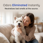 Pet Ionic Water Spray for Tear Stains