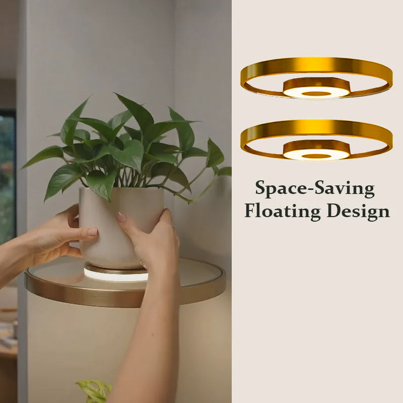 📢📢50% OFF !! ⏰Floating Wall Shelf with Built-in Ambient LED Light