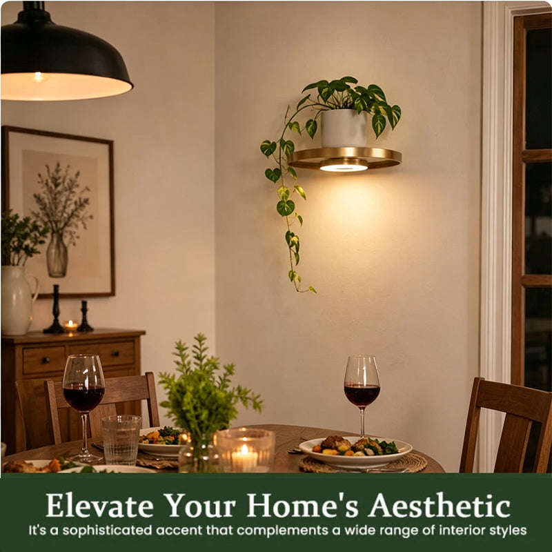 📢📢50% OFF !! ⏰Floating Wall Shelf with Built-in Ambient LED Light