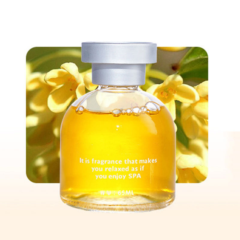 ⏰🎉Limited-time Offer: 50% OFF!🎉—Long Lasting Car Perfume, Mild Natural Fragrance Auto Air Freshener, Effective Odor Eliminator, Compact Decorative Car Scent for Dashboard