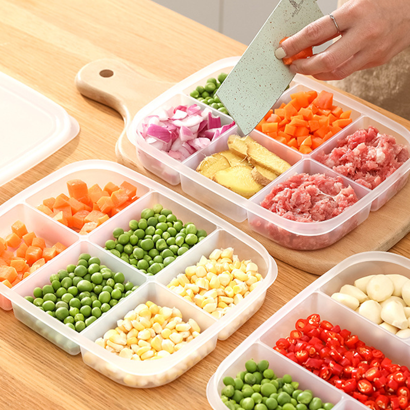 Multi-Section Food Storage Container with Lid