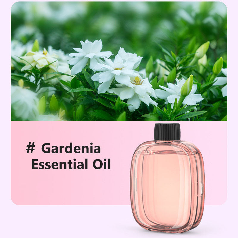 Automatic Aromatherapy Diffuser