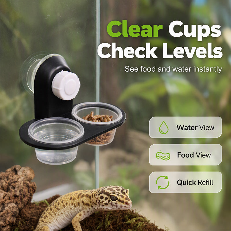 Double Reptile Feeding Ledge with Bowls