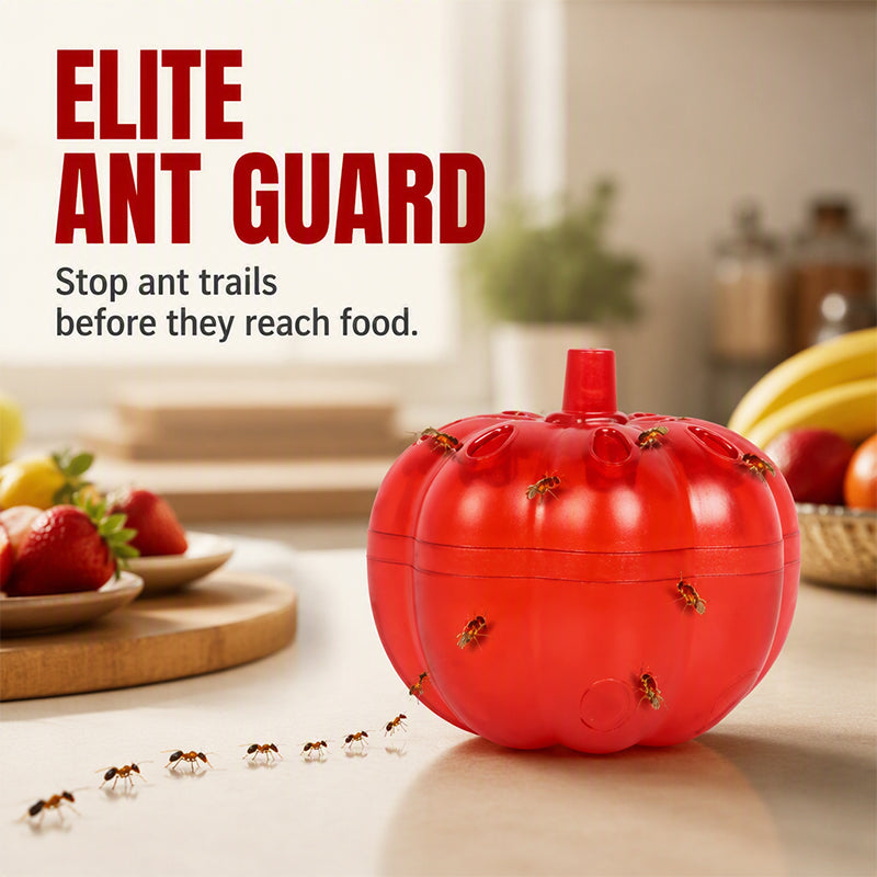 ⏳Buy 1 Get 1 Free!⏰Pumpkin Shaped Indoor Fruit Fly Trap