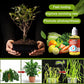 Plant Growth Promoters kompletterar Energizers